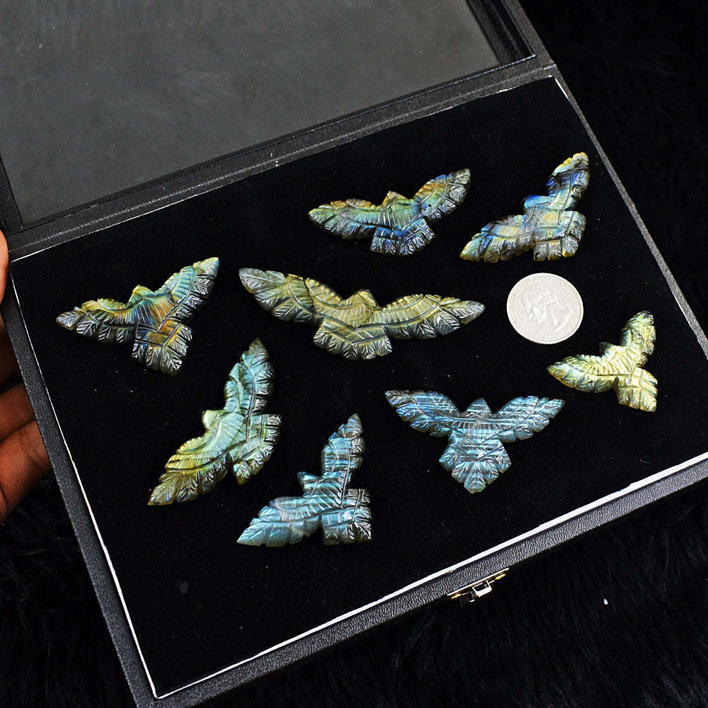 gemsmore:Amazing Golden & Blue Flash  Labradorite Untreated Eagle Cabochon Lot