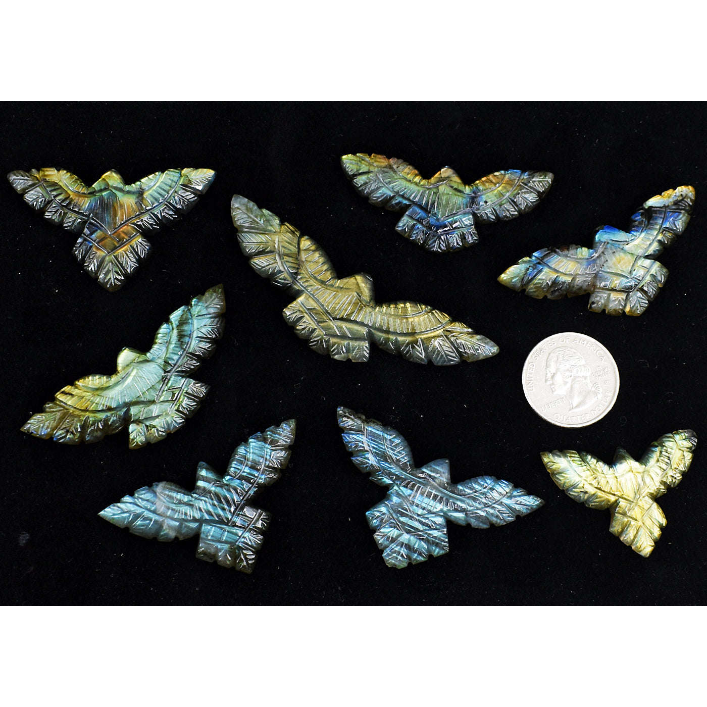 gemsmore:Amazing Golden & Blue Flash  Labradorite Untreated Eagle Cabochon Lot