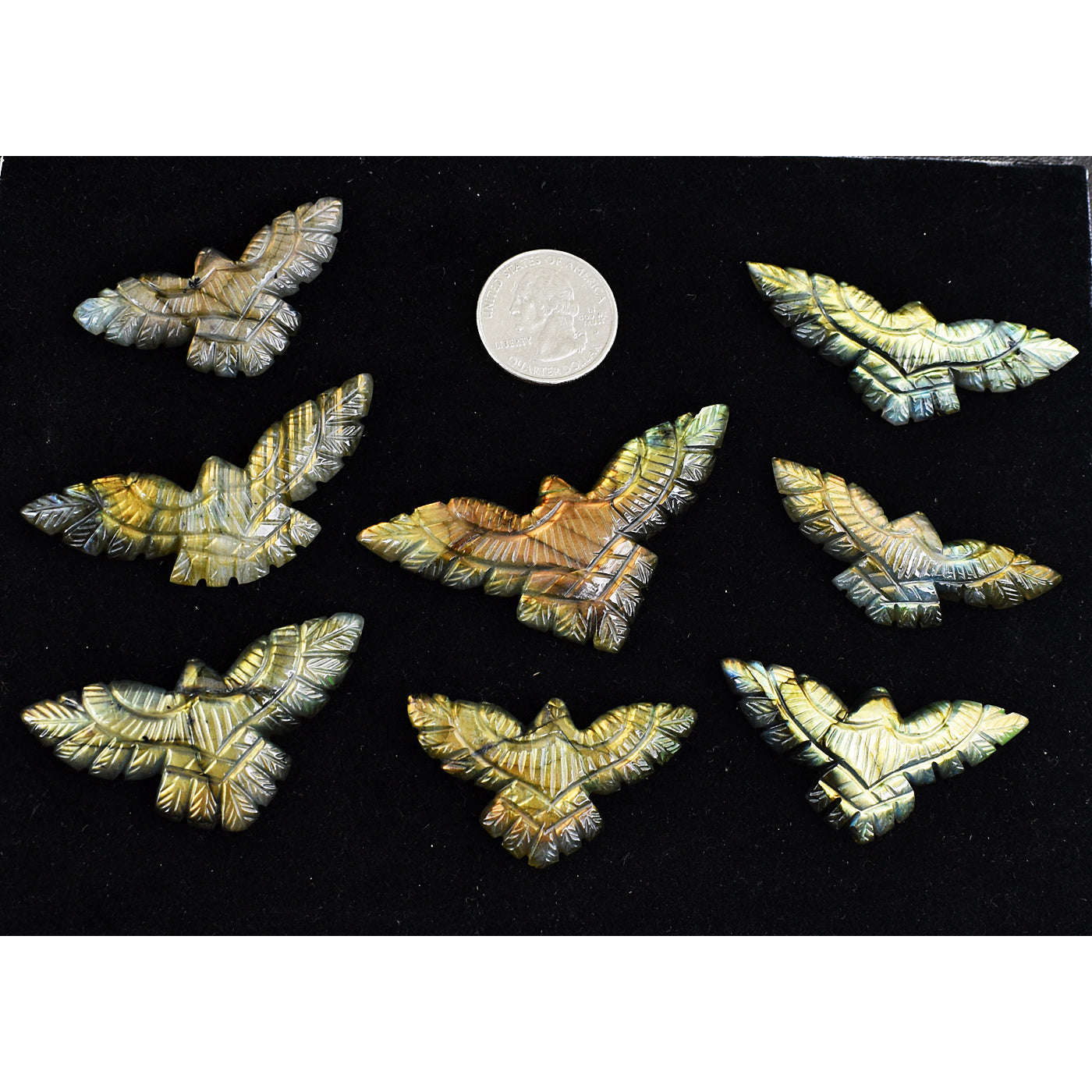 gemsmore:Amazing Golden & Orange Flash  Labradorite Untreated Eagle Cabochon Lot