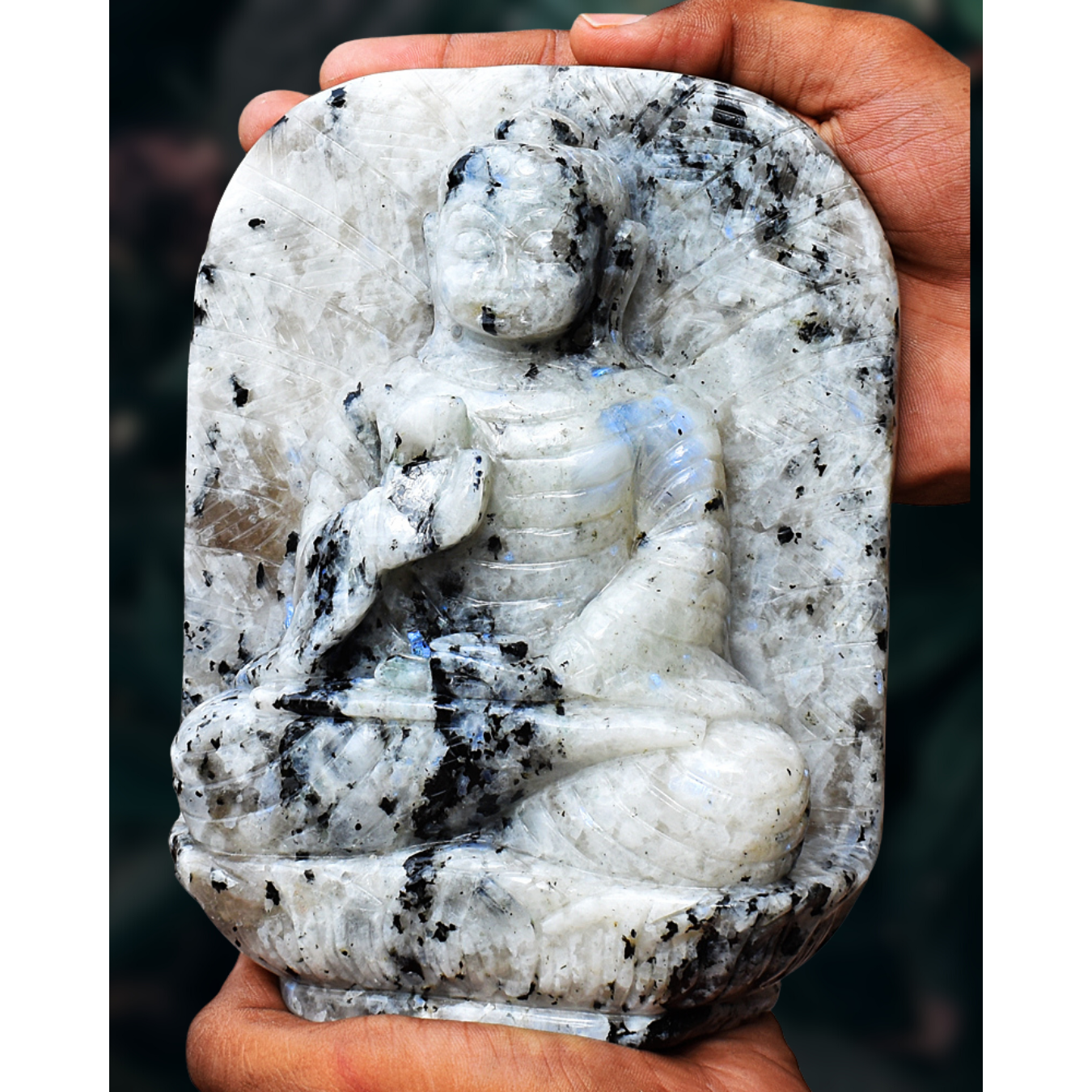 gemsmore:Amazing Moonstone Hand Carved Genuine Crystal Gemstone Carving Leaf Palm Lord Buddha