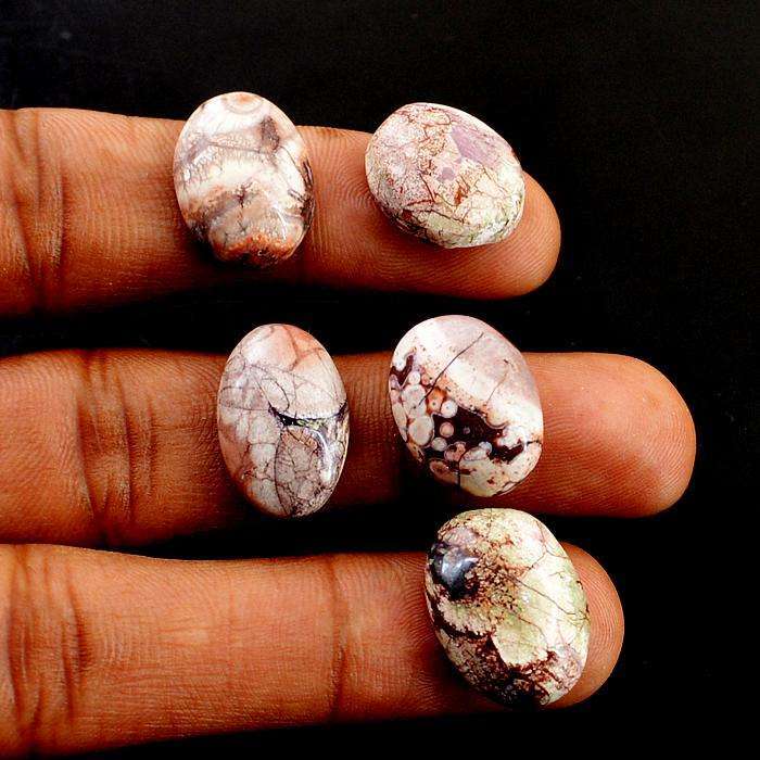 gemsmore:Amazing Natural Bird Eye Jasper Oval Shape Loose Gemstone Lot