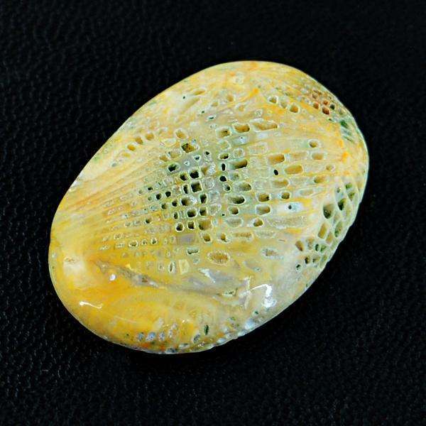 gemsmore:Amazing Natural Coral Fossil Oval Shape Untreated Loose Gemstone
