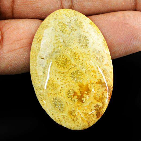 gemsmore:Amazing Natural Coral Fossil Oval Shape Untreated Loose Gemstone