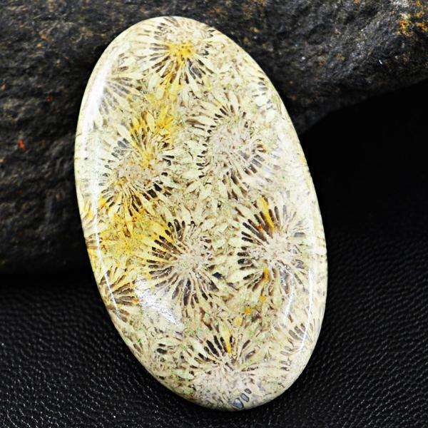 gemsmore:Amazing Natural Coral Fossil Oval Shape Untreated Loose Gemstone