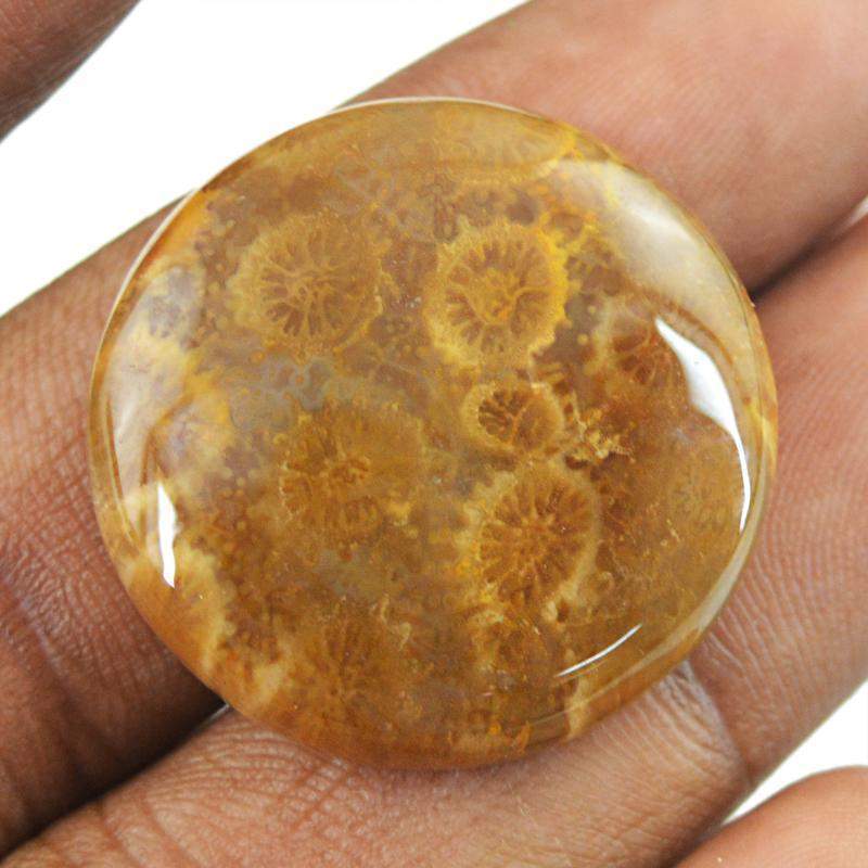 gemsmore:Amazing Natural Coral Fossil Round Shape Gemstone