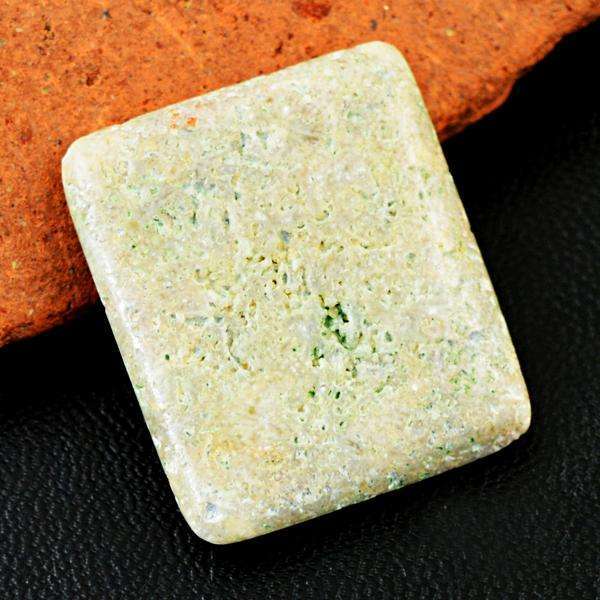gemsmore:Amazing Natural Coral Fossil Untreated Loose Gemstone