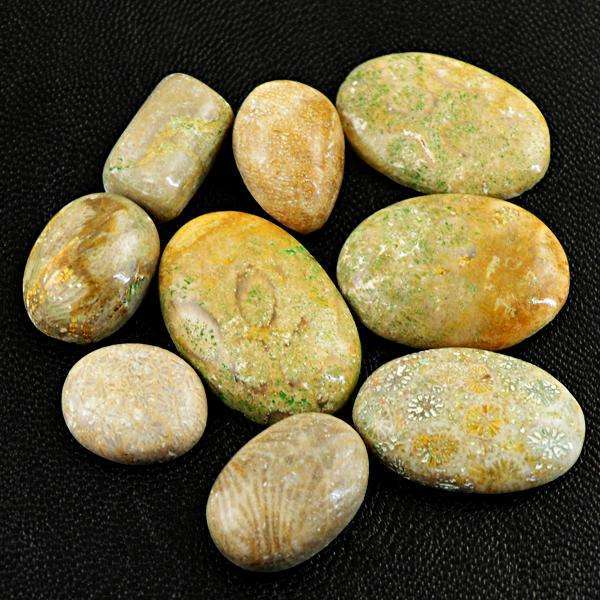 gemsmore:Amazing Natural Coral Fossil Untreated Loose Gemstone Lot
