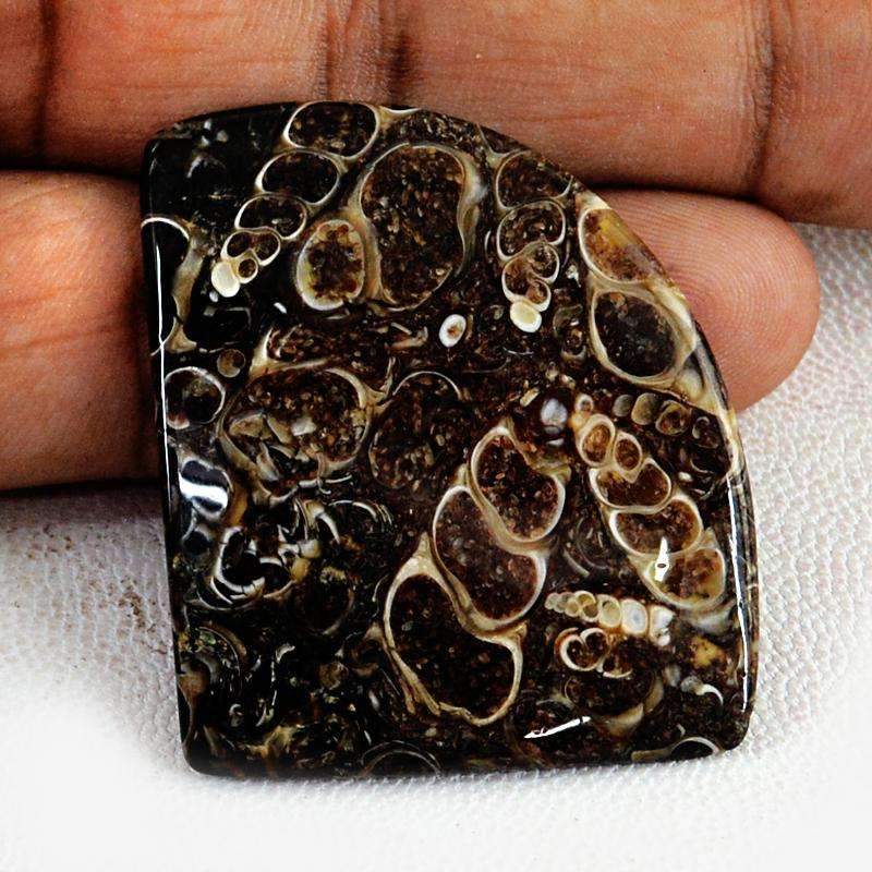 gemsmore:Amazing Natural Crinoid Fossil Gemstone