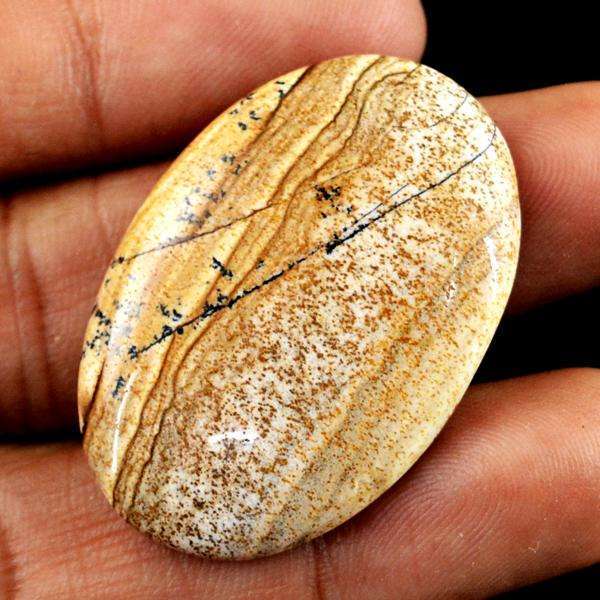 gemsmore:Amazing Natural Picture Jasper Oval Shape Loose Gemstone