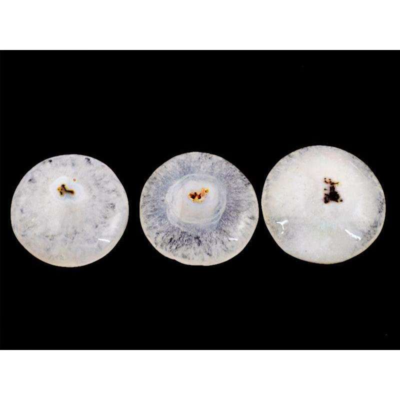 gemsmore:Amazing Natural Solar Quartz Round Shape Untreated Loose Gemstone Lot