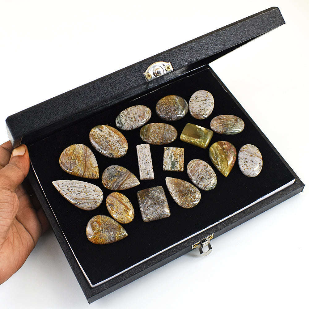 gemsmore:Amazing Ocean Agate  Untreated Gemstone Cabochon Lot
