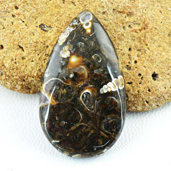 gemsmore:Amazing Pear Shape Turritella Agate Untreated Loose Gemstone