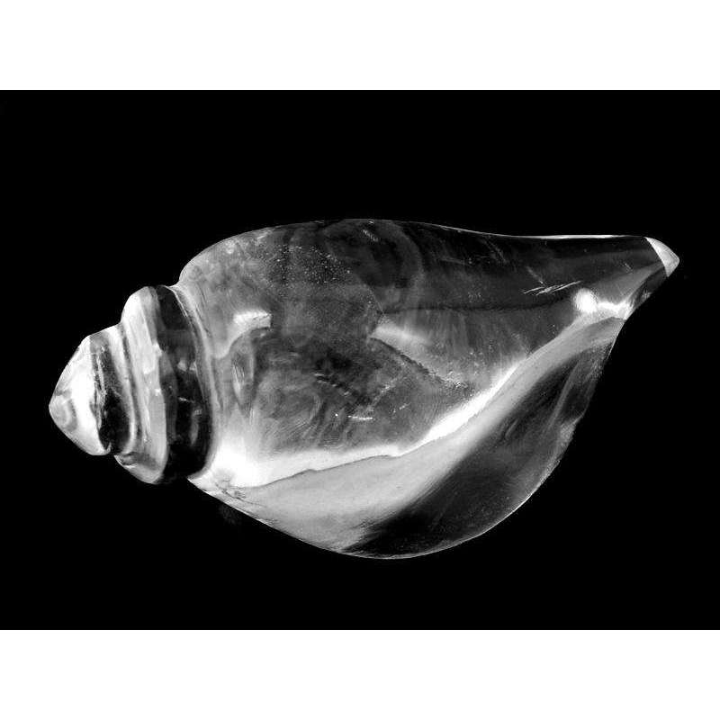 gemsmore:Amazing White Quartz Hand Carved Conch