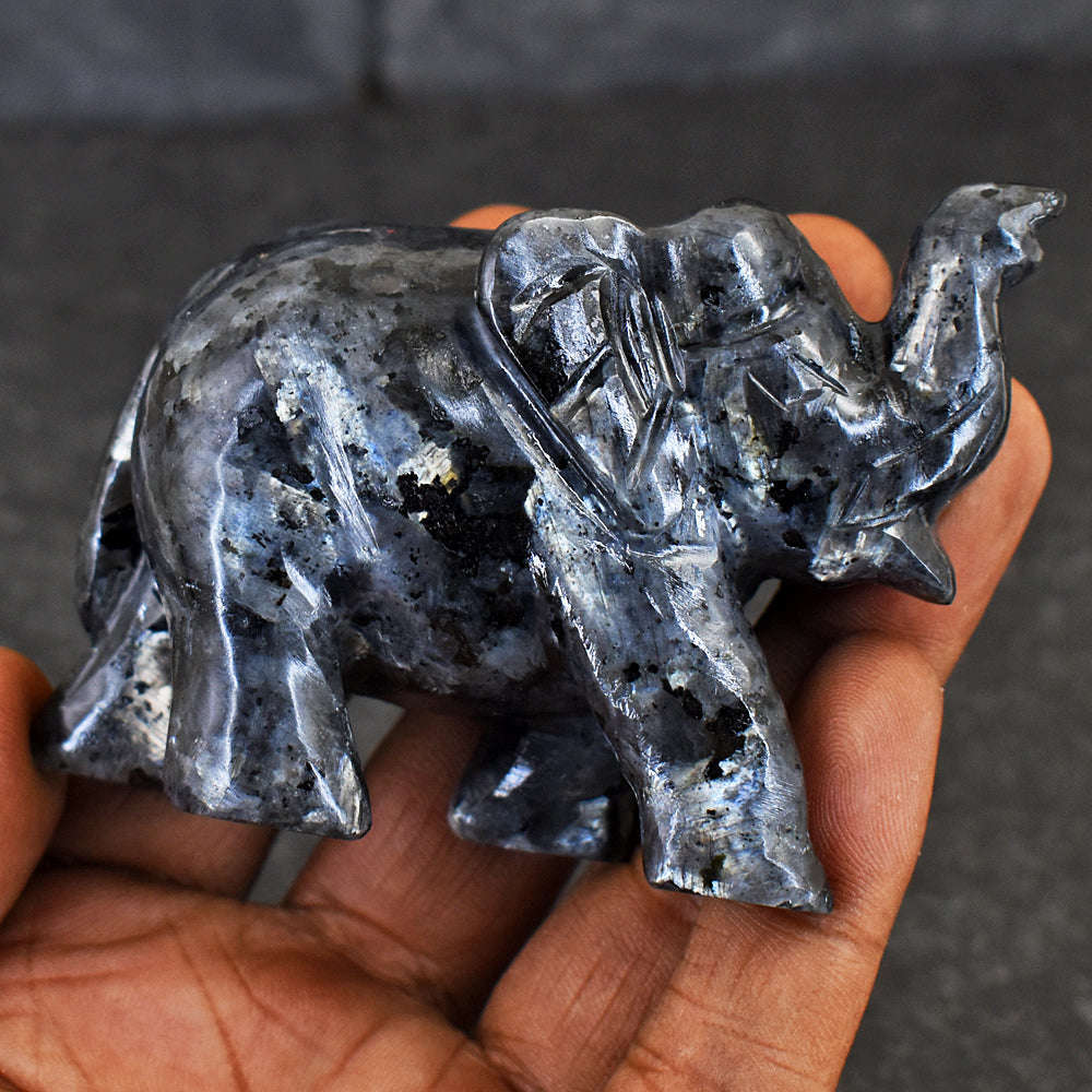 gemsmore:Artisian Larvikite Hand Carved Genuine Crystal Gemstone Carving Elephant