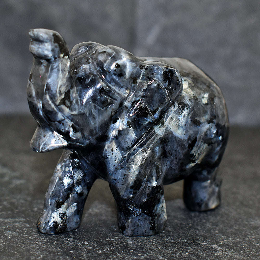 gemsmore:Artisian Larvikite Hand Carved Genuine Crystal Gemstone Carving Elephant