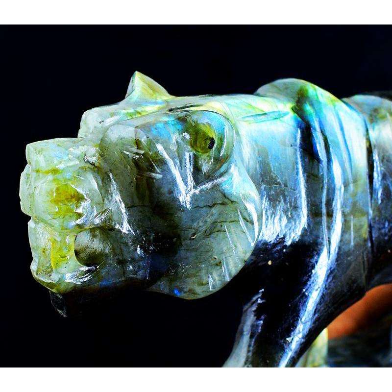 gemsmore:Big Size Blue Flash Top Labradorite Carved Tiger in gemstone
