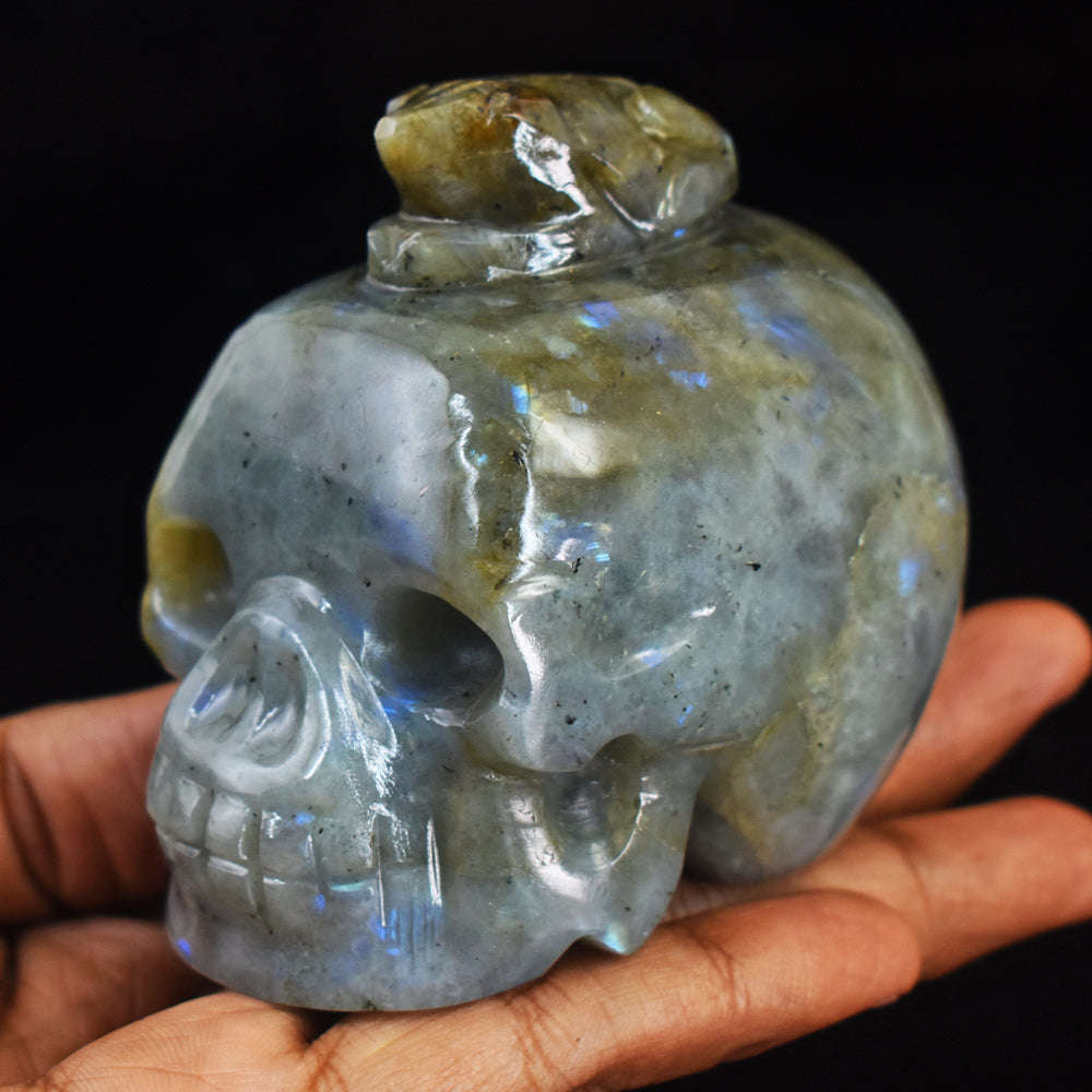 gemsmore:Craftsmen Blue Flash Labradorite Hand Carved Frog On Skull Carving