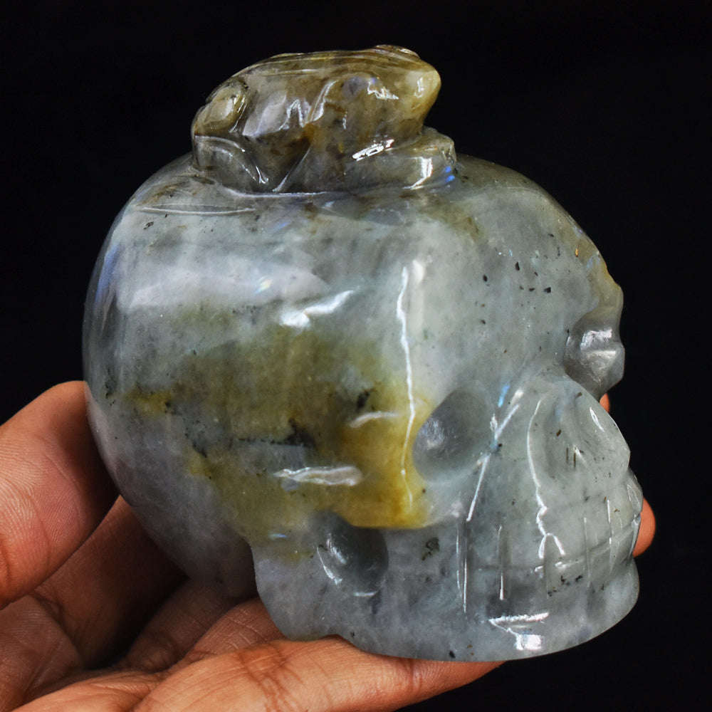 gemsmore:Craftsmen Blue Flash Labradorite Hand Carved Frog On Skull Carving