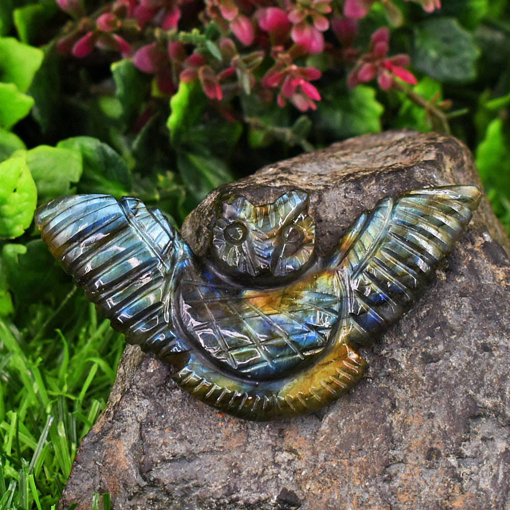 gemsmore:Exclusive Amazing  Flash Labardorite Carved Owl