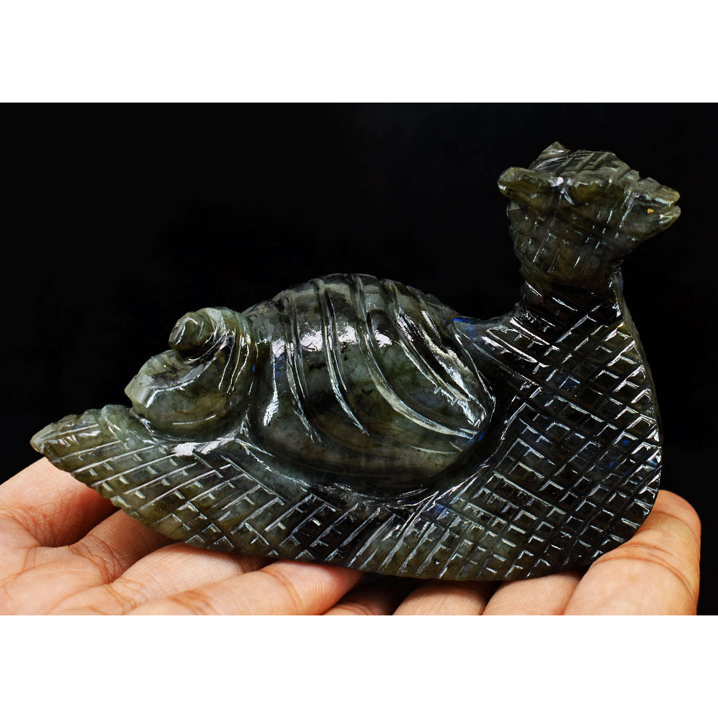 gemsmore:Exclusive  Blue Flash Labradorite Hand Carved Snail