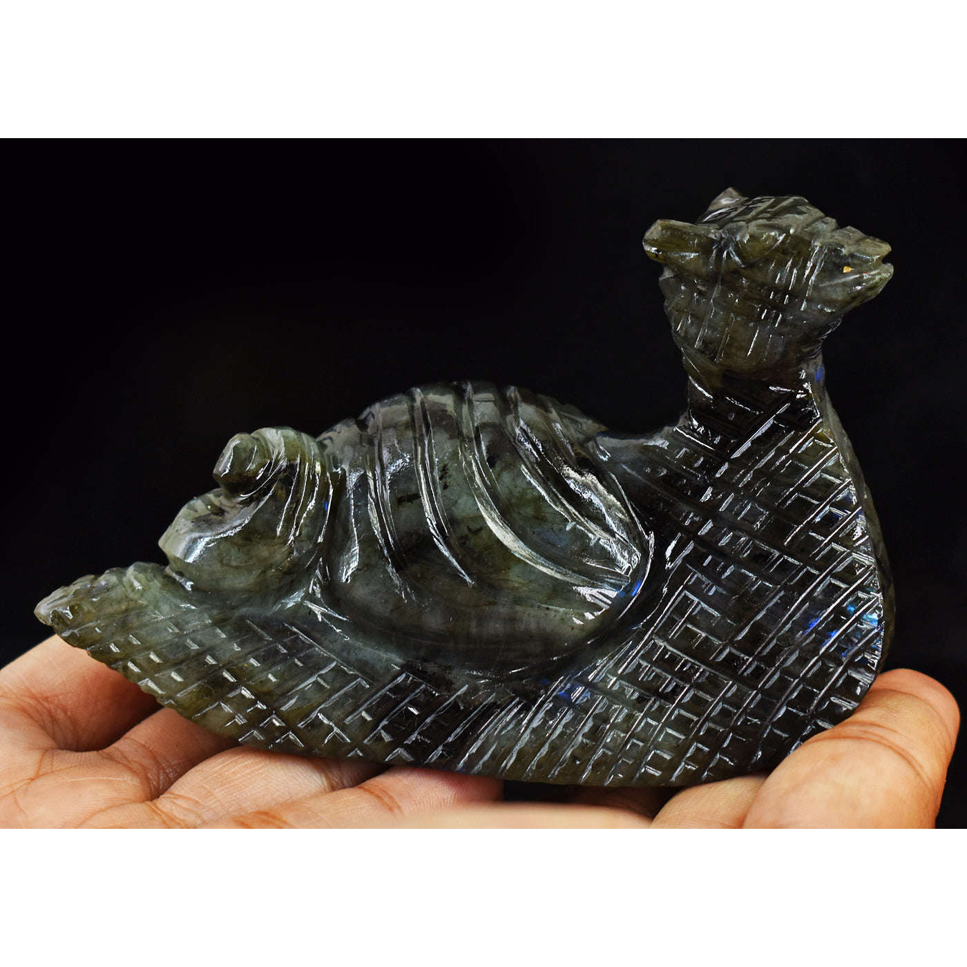 gemsmore:Exclusive  Blue Flash Labradorite Hand Carved Snail