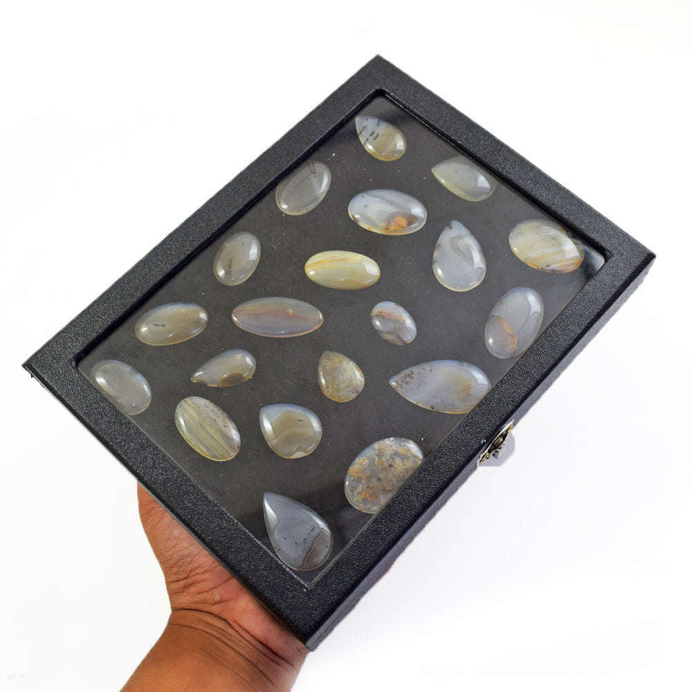 gemsmore:Exclusive Montana Agate  Untreated Gemstone Cabochon Lot