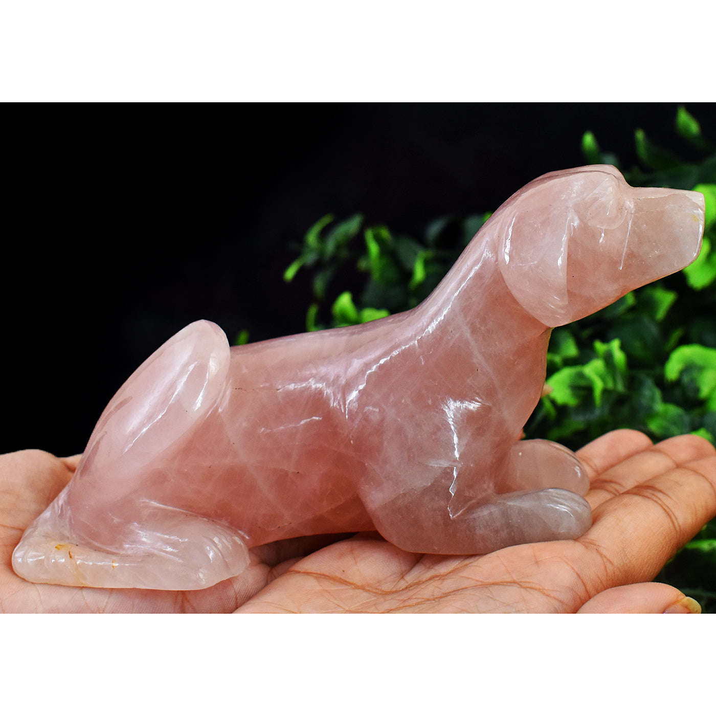 gemsmore:Exclusive Rose Quartz Hand Carved Dog