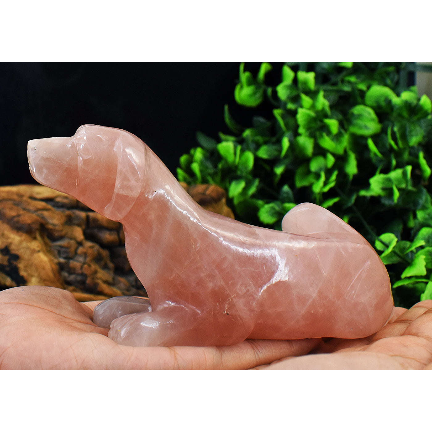gemsmore:Exclusive Rose Quartz Hand Carved Dog