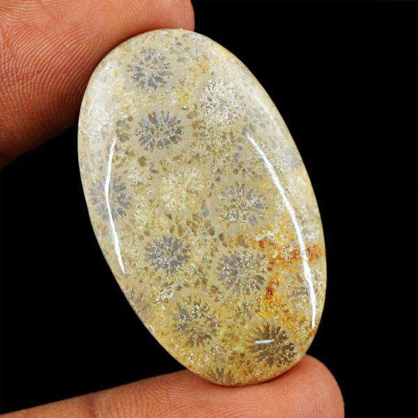 gemsmore:Amazing Coral Fossil Oval Shape Untreated Loose Gemstone
