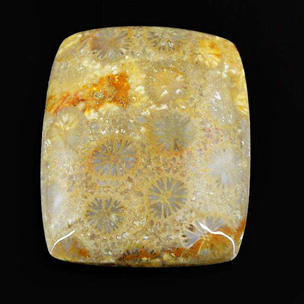 gemsmore:Genuine Coral Fossil Untreated Loose Gemstone