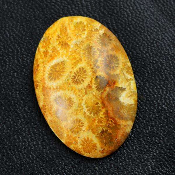 gemsmore:Genuine Amazing Coral Fossil Oval Shape Loose Gemstone