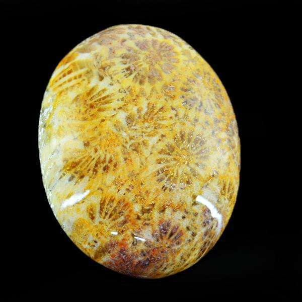 gemsmore:Genuine Amazing Coral Fossil Oval Shape Untreated  Loose Gemstone