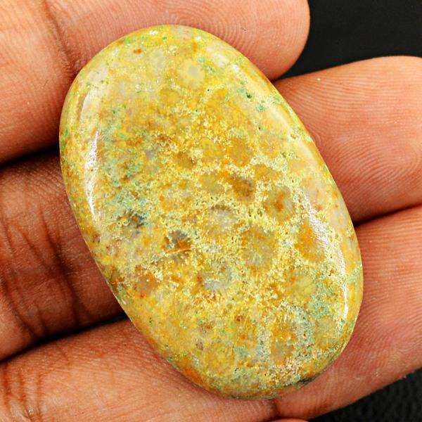 gemsmore:Genuine Amazing  Coral Fossil Oval Shape Untreated Loose Gemstone