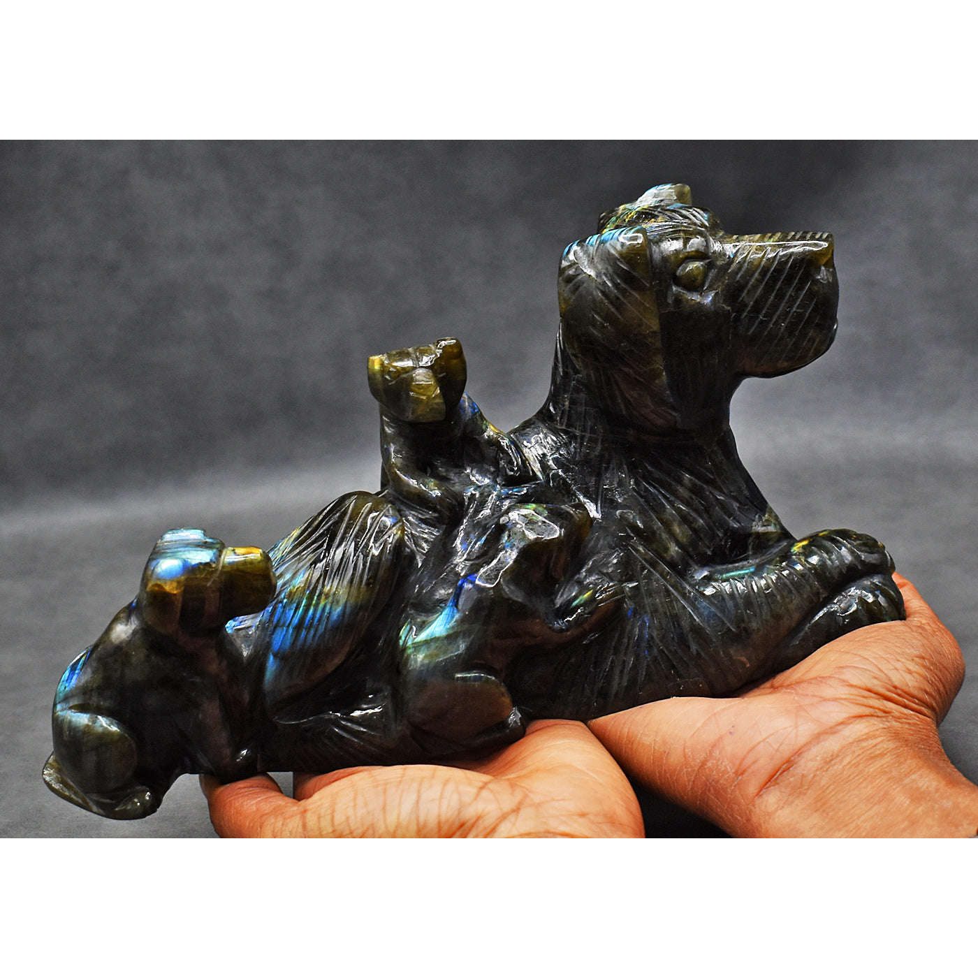 gemsmore:Genuine Amazing Flash Labradorite Carved Dog Family