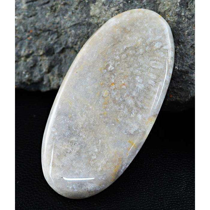 gemsmore:Genuine Amazing Oval Shape Coral Fossil Untreated Loose Gemstone