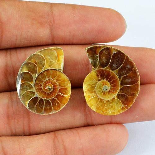 gemsmore:Genuine Ammonite Untreated Gemstone Pair