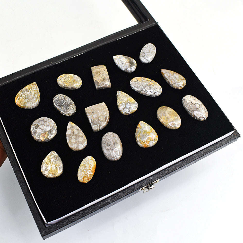 gemsmore:Genuine Coral Fossil Gemstone  Lot