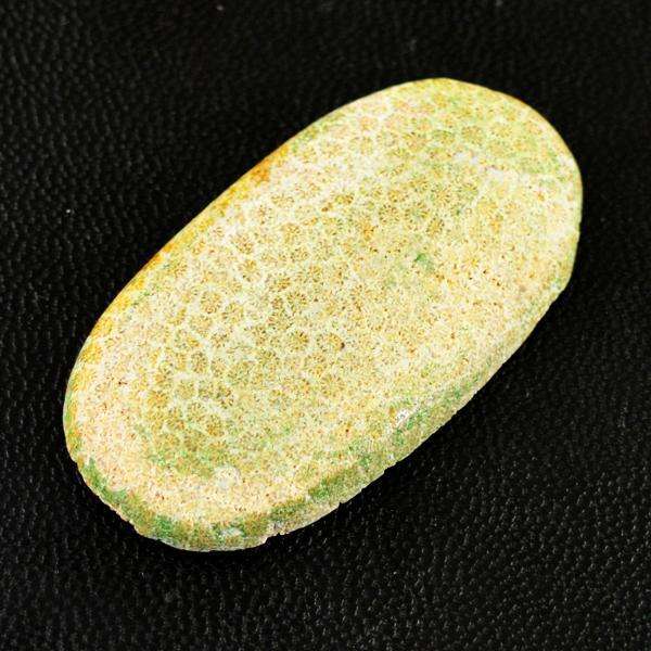 gemsmore:Genuine Coral Fossil Oval Shape Loose Gemstone