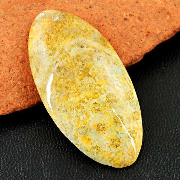 gemsmore:Genuine Coral Fossil Oval Shape Untreated Loose Gemstone