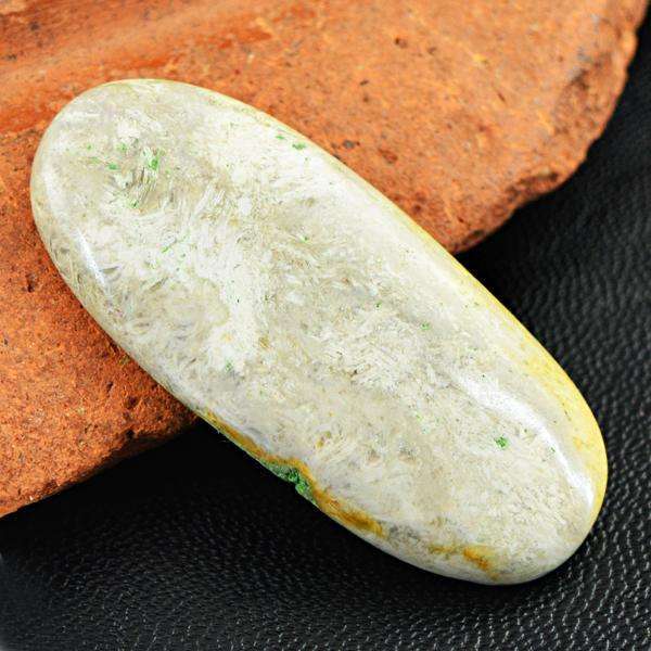 gemsmore:Genuine Coral Fossil Oval Shape Untreated Loose Gemstone