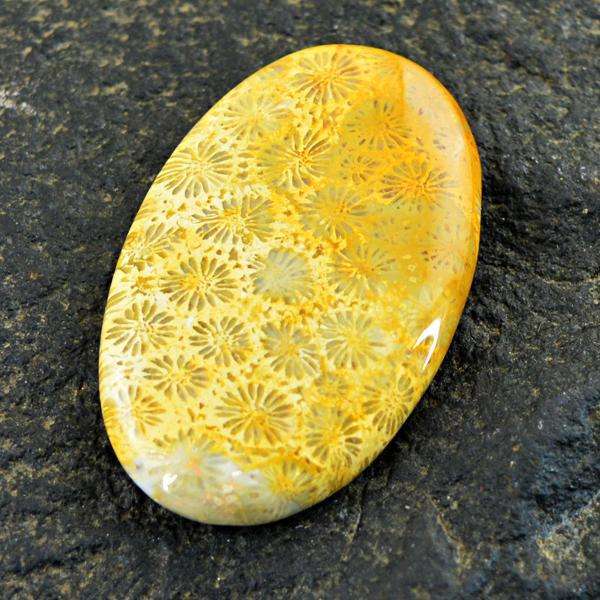 gemsmore:Genuine Coral Fossil Oval Shape Untreated Loose Gemstone