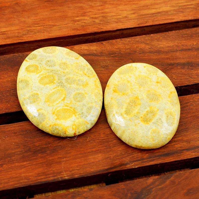 gemsmore:Genuine Coral Fossil Oval Shape Untreated Loose Gemstone Lot