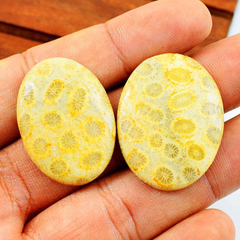 gemsmore:Genuine Coral Fossil Oval Shape Untreated Loose Gemstone Lot