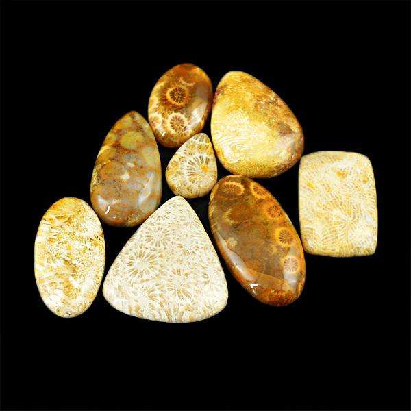 gemsmore:Genuine Coral Fossil Untreated Loose Gemstone Lot