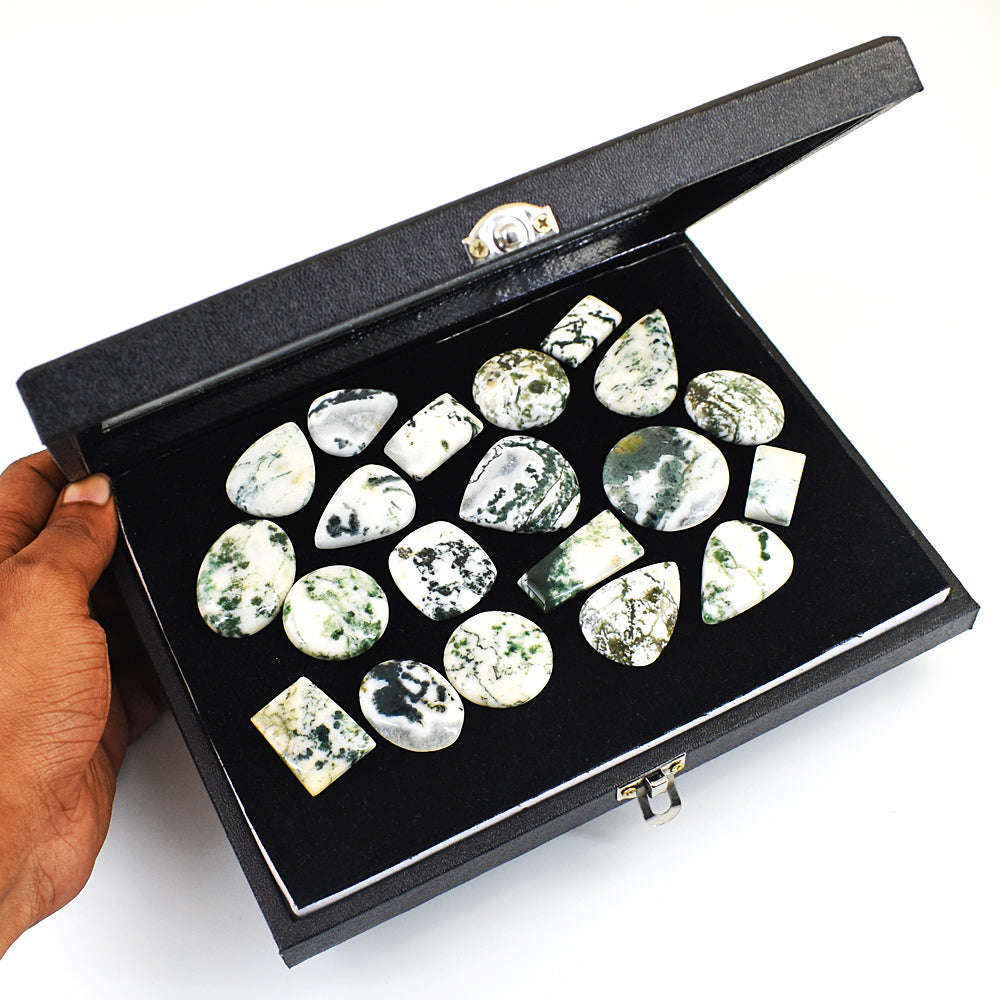 gemsmore:Genuine Tree Agate Untreated Gemstone Cabochon Lot
