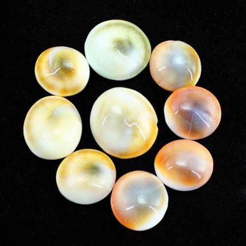 gemsmore:Genuine Untreated Shiva Eye Gemstone Lot