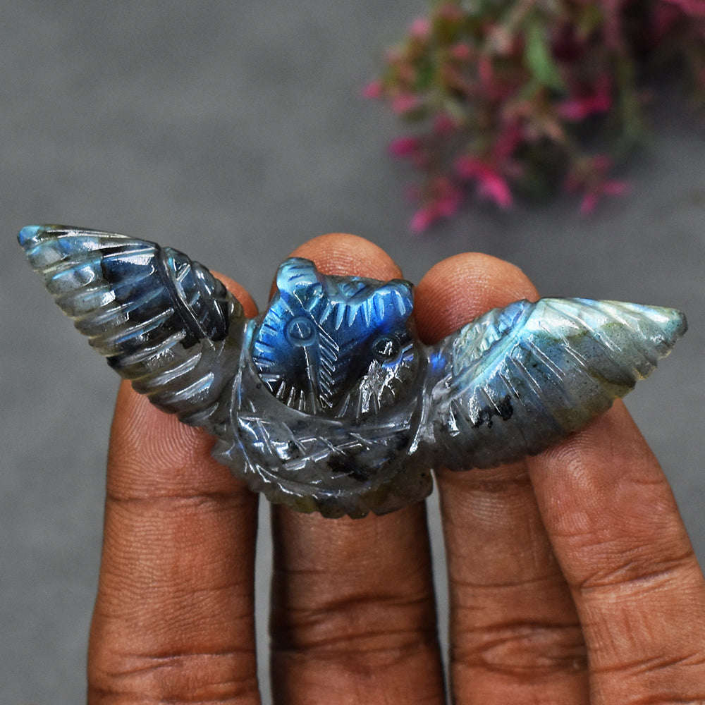gemsmore:Gorgeous 76 Cts Genuine Blue Flash Labradorite Carved Owl  Gemstone
