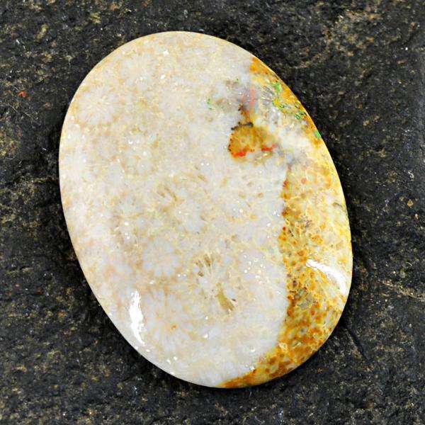 gemsmore:Natural Amazing Coral Fossil Oval Shape Untreatded Loose Gemstone