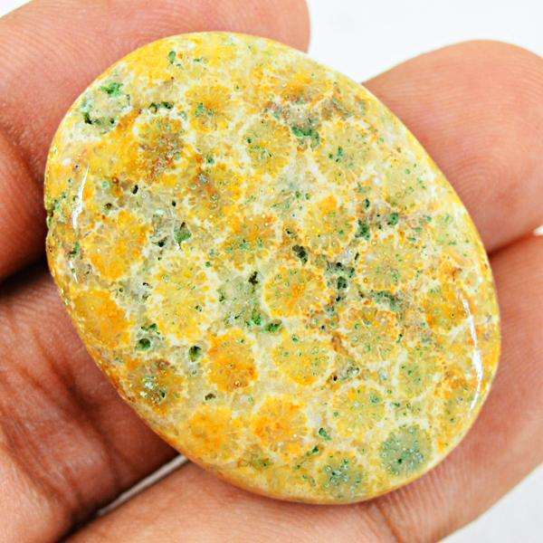 gemsmore:Natural Amazing Coral Fossil Oval Shape Untreated Loose Gemstone