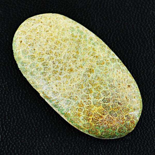 gemsmore:Natural Amazing Coral Fossil Oval Shape Untreated Loose Gemstone